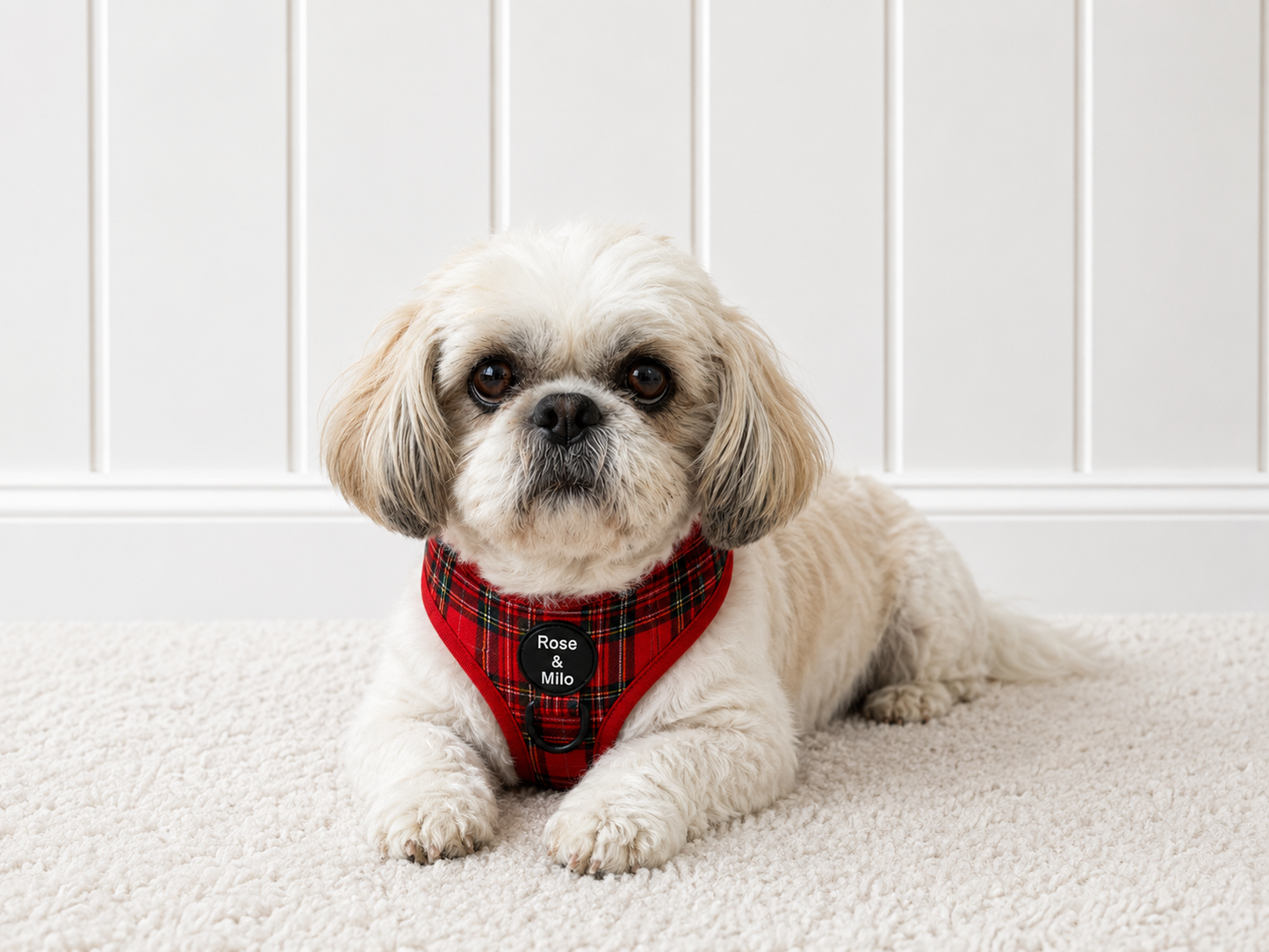 Red Tartan Adjustable Dog Harness