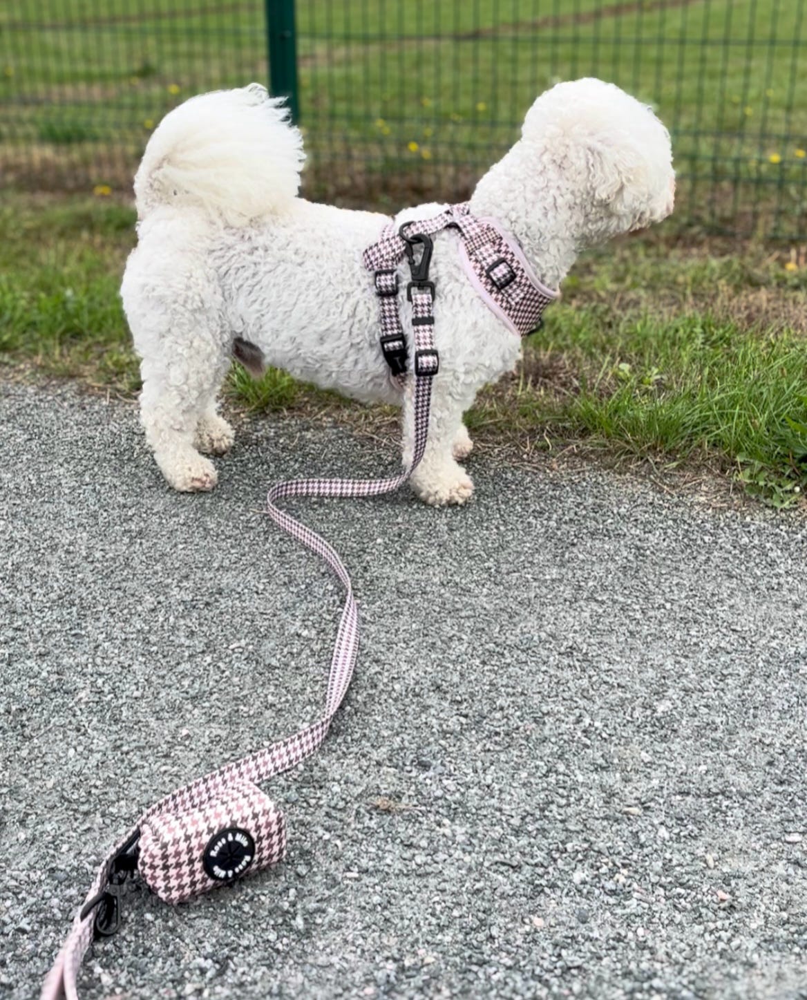 Beige Houndstooth Adjustable Lead 3ft-5ft