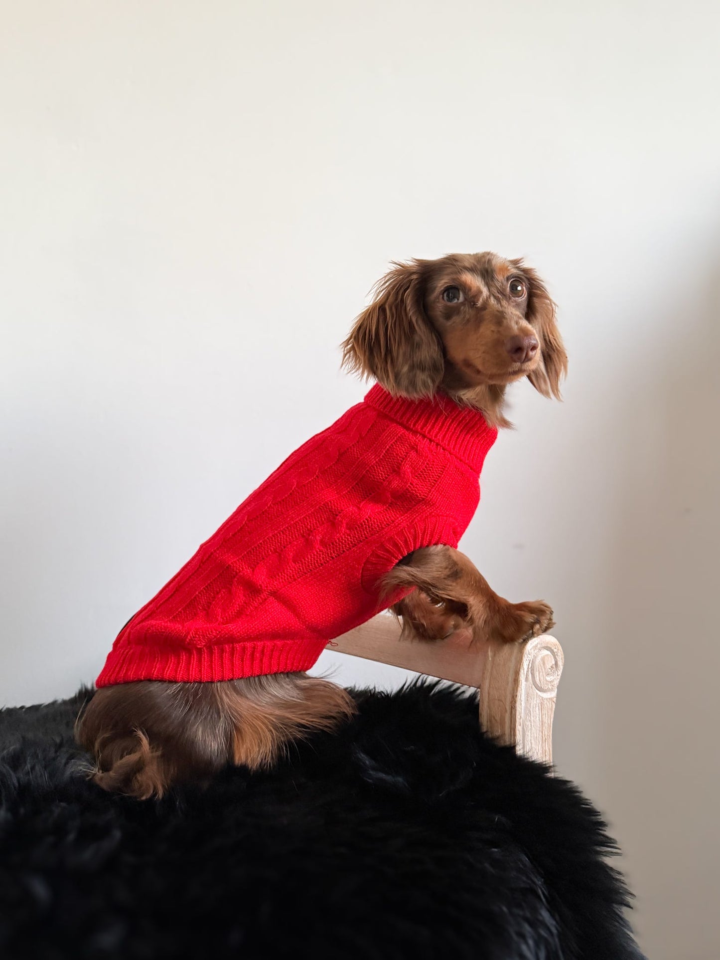 Fine Knit Cable Dog Jumper Bright Red