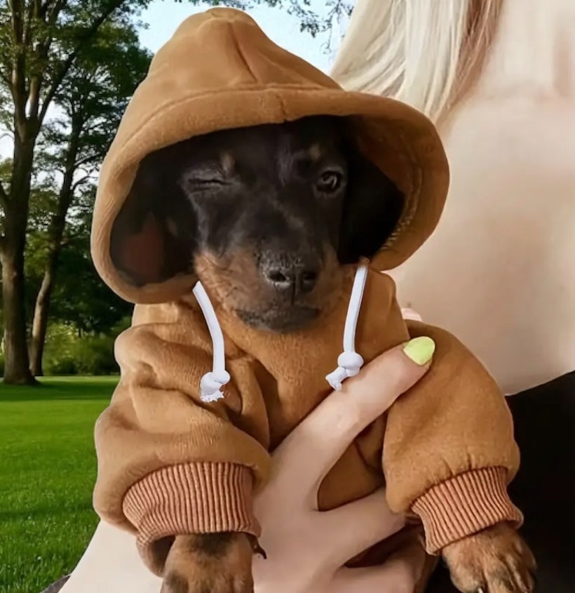 Cute Dog Hoodie Brown