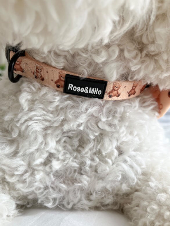 Teddy Bear Adjustable Collar