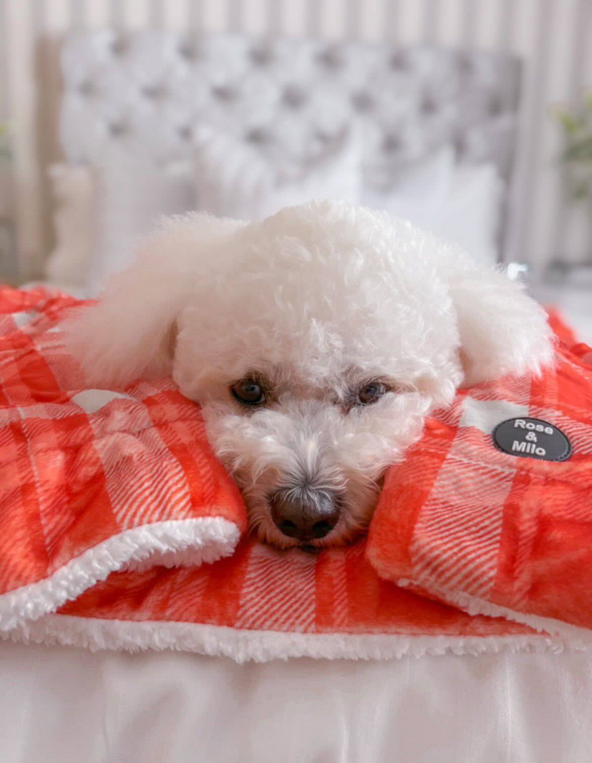 Orange Plaid Huge Snuggle Blanket 130cm x 100cm
