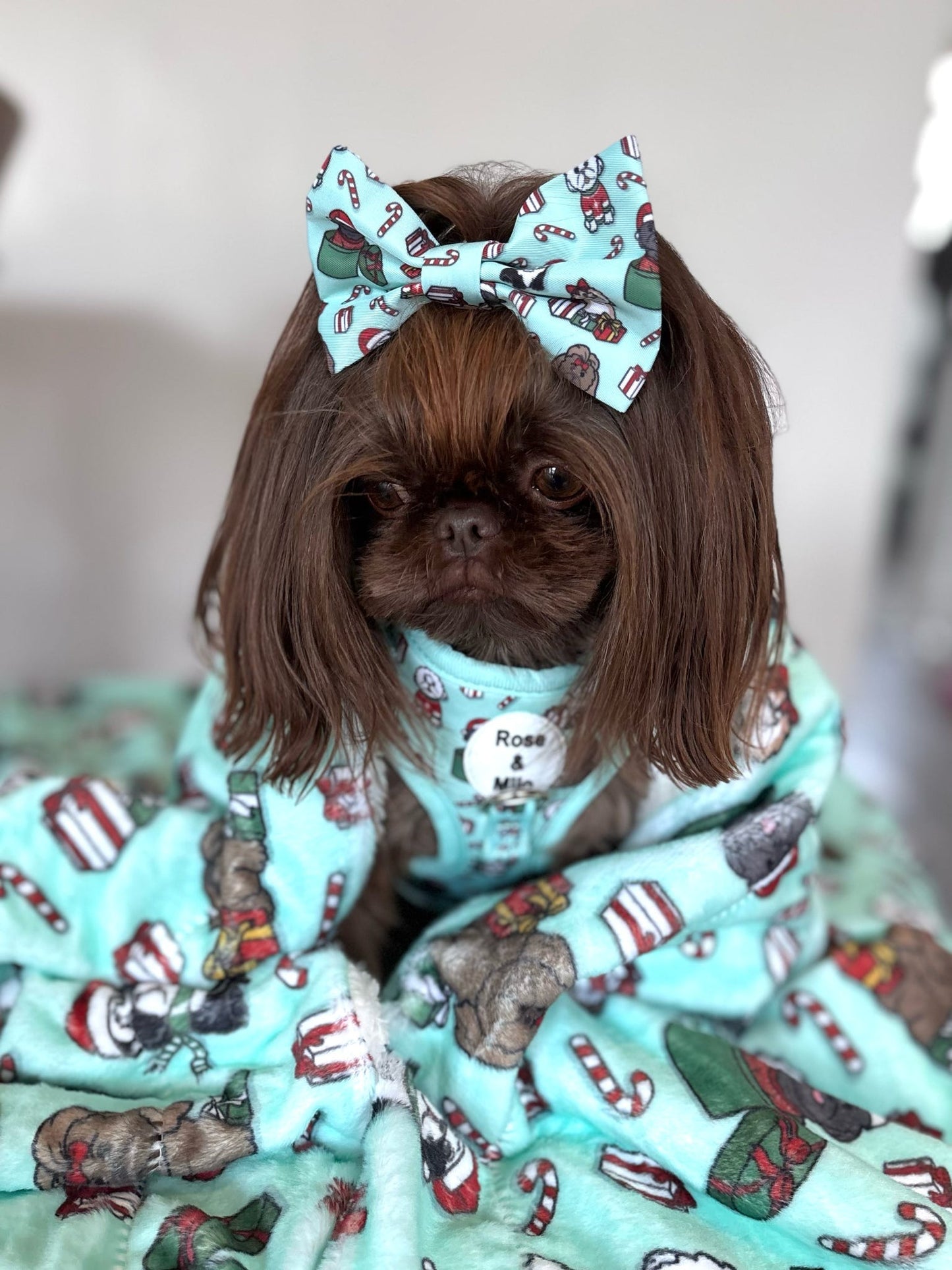 It’s Shihmass Dog Bow Tie