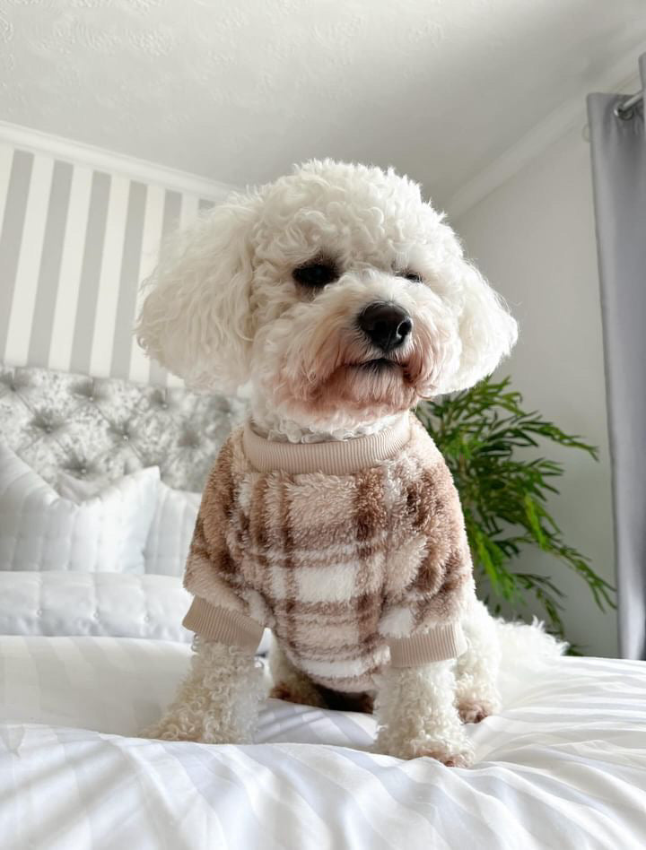 Brown Checked Dog Jumper