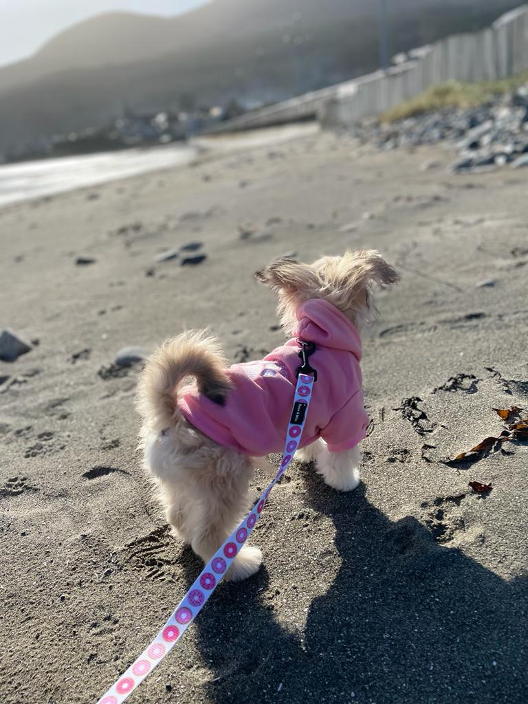 Cute Dog Hoodies Pink