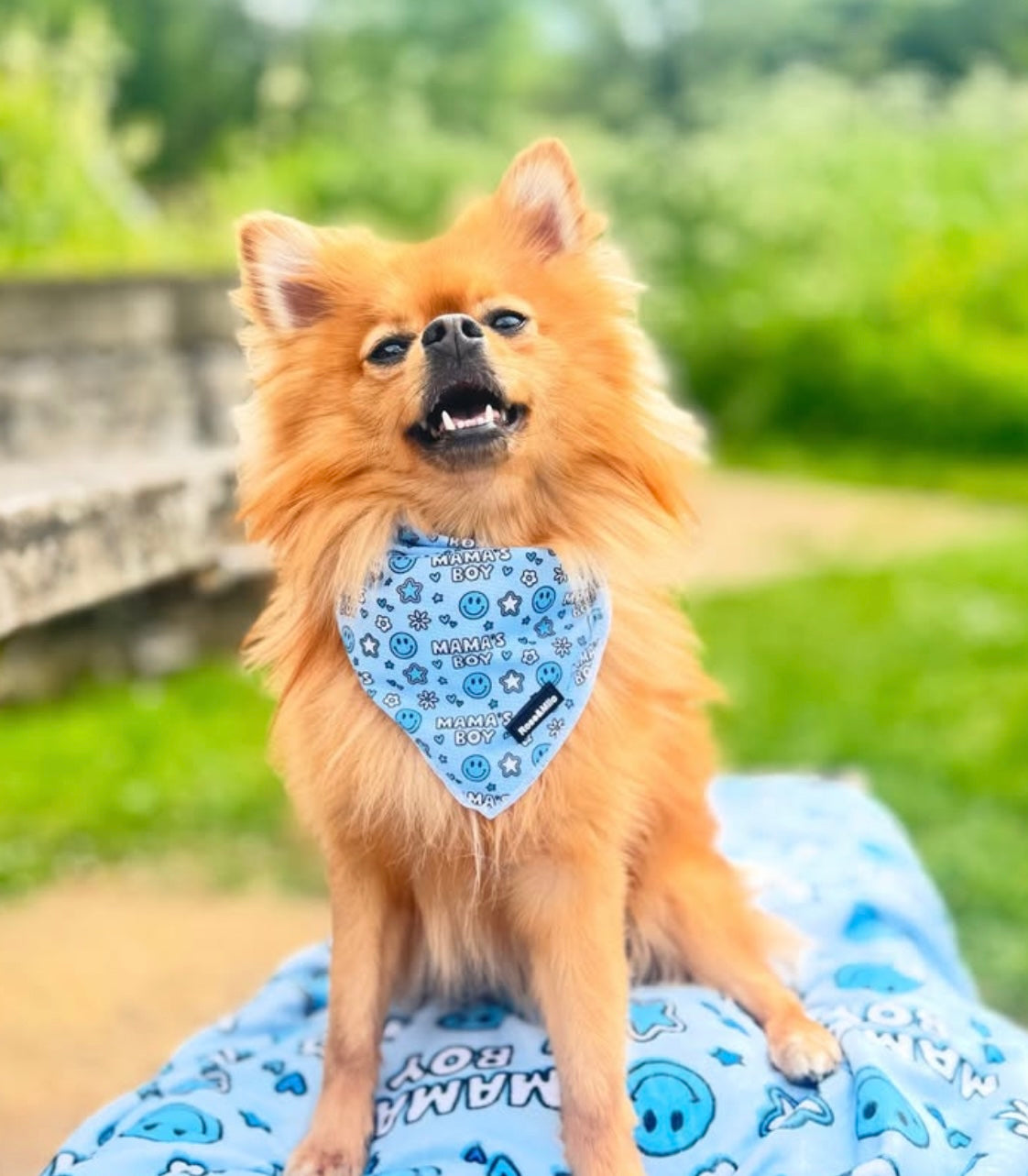 I’m a Mama’s Boy Bandana