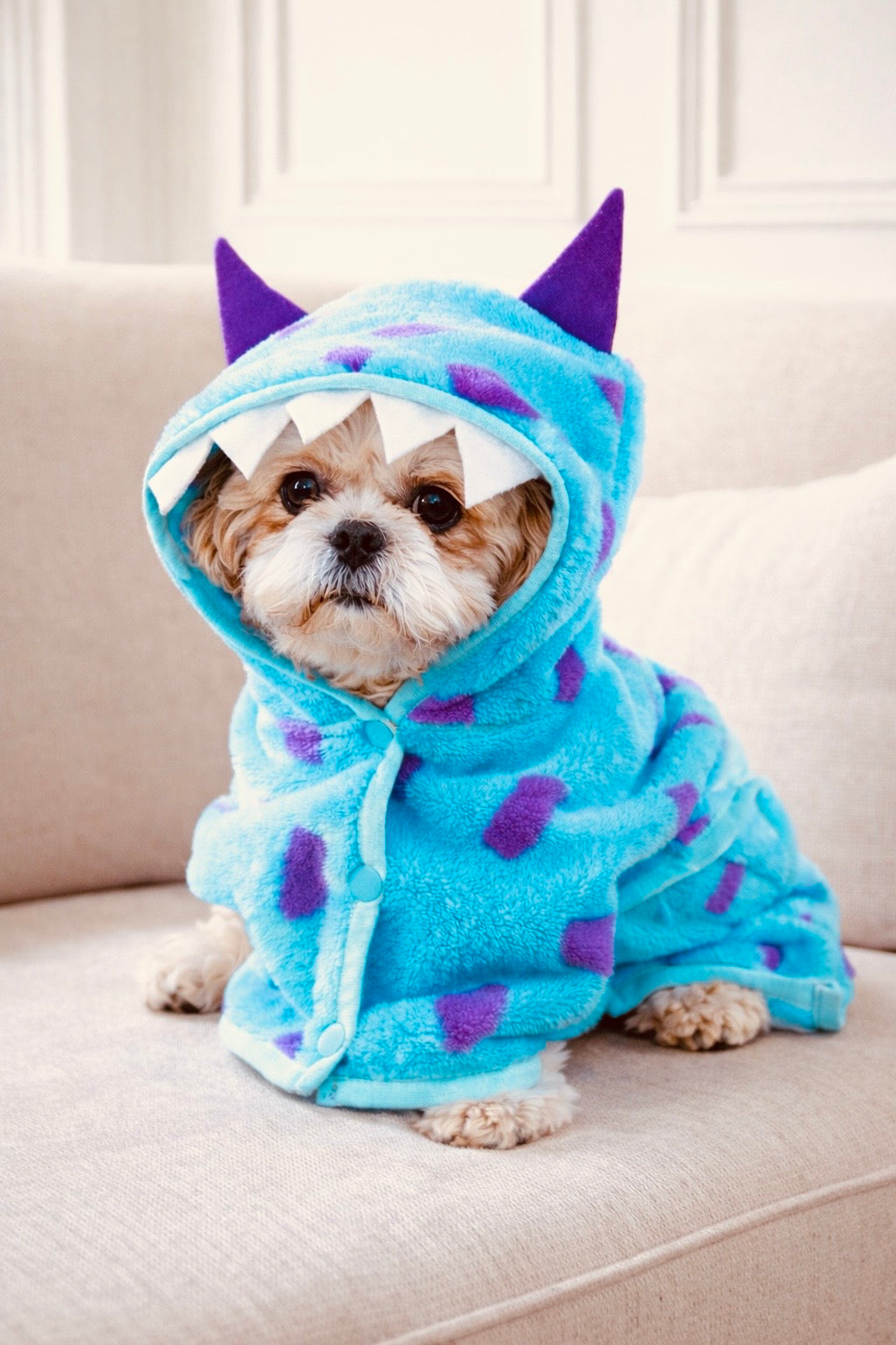Cute Dinosaur Dog Robe