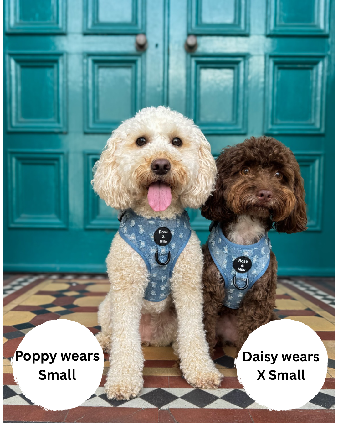 Doggy Denim Adjustable Dog Harness