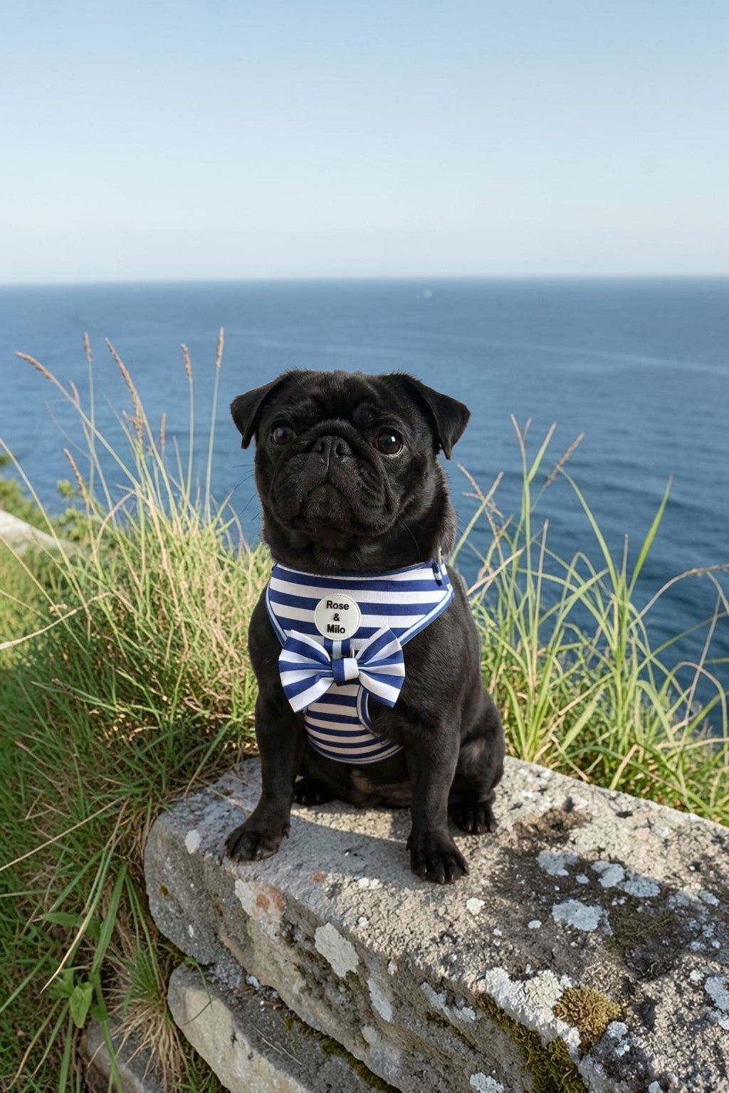 Blue Stripe Adjustable Dog Harness