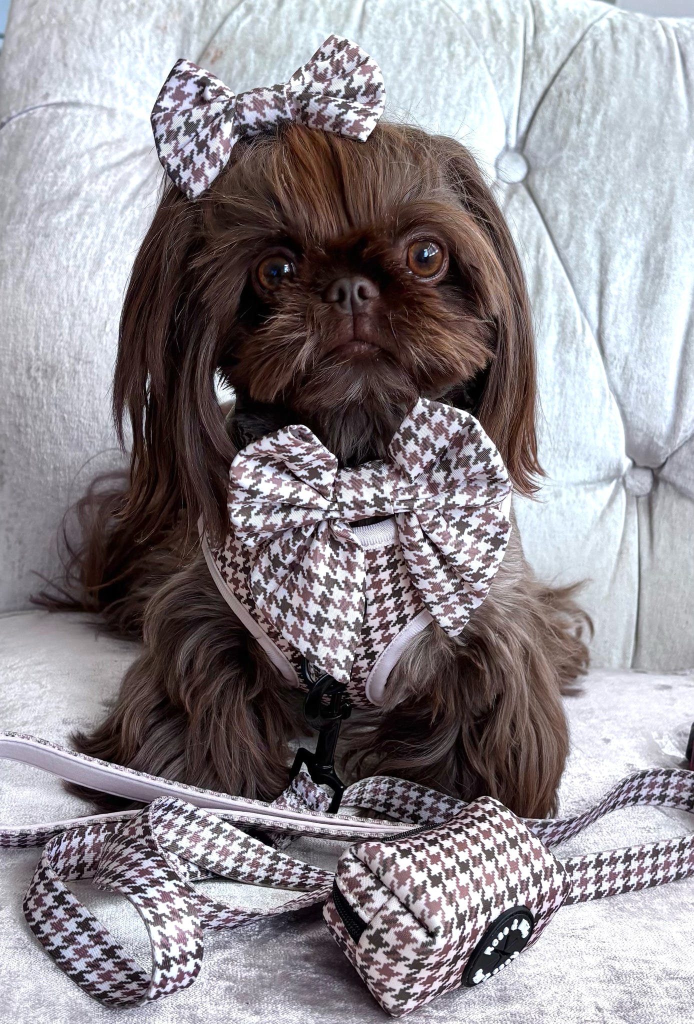 Beige Houndstooth Dog Sailor Bow