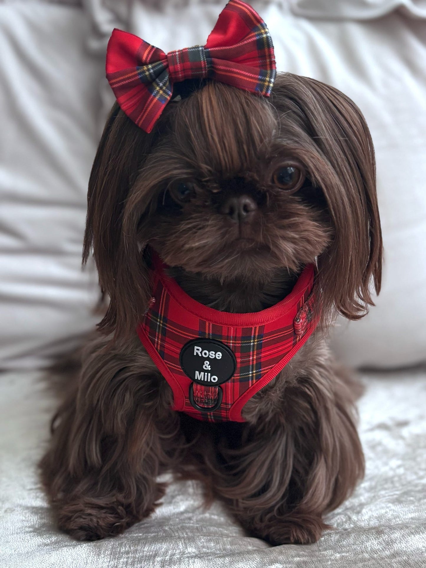 Red Tartan Adjustable Dog Harness