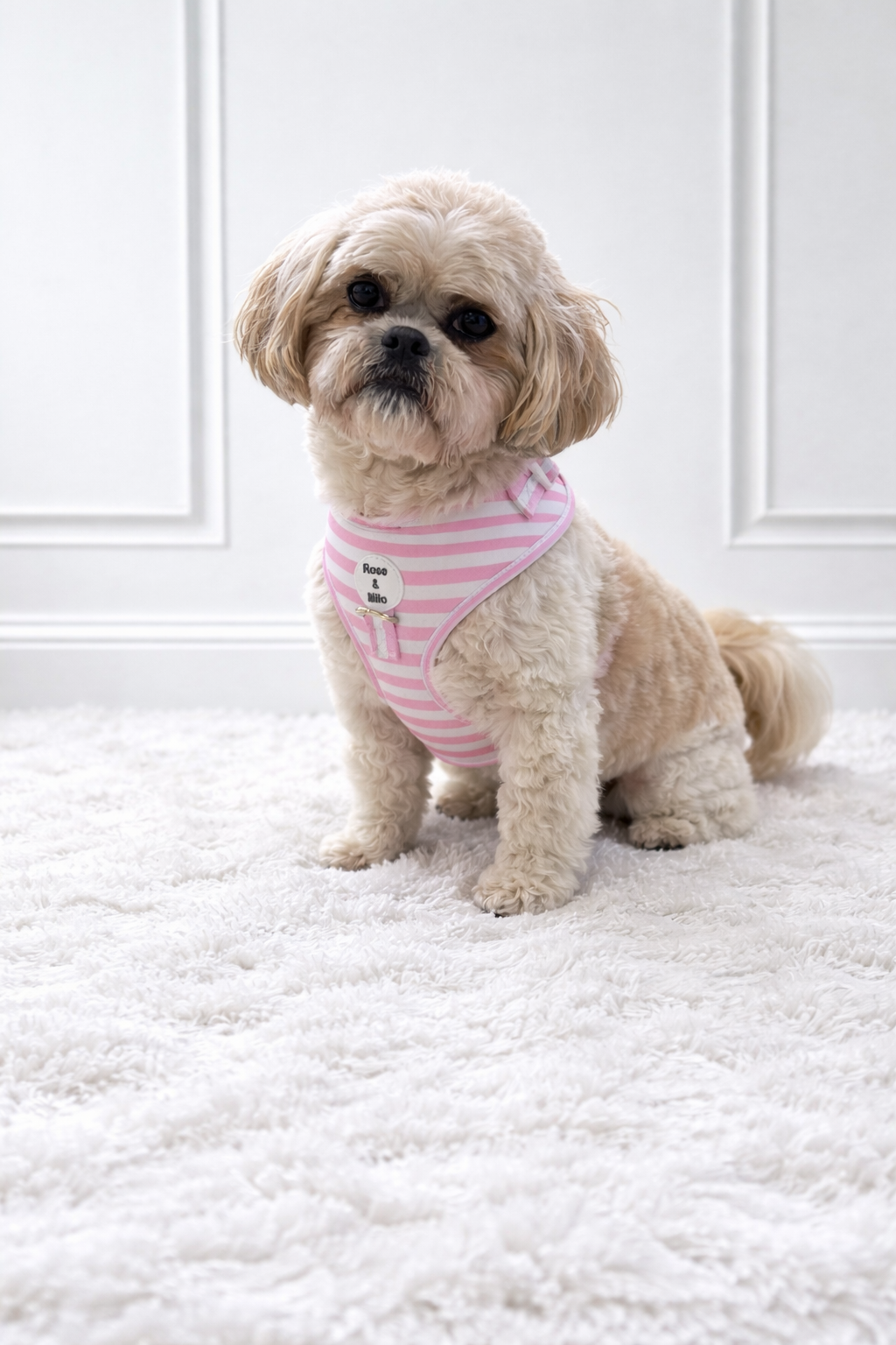 Pink Stripe Adjustable Dog Harness