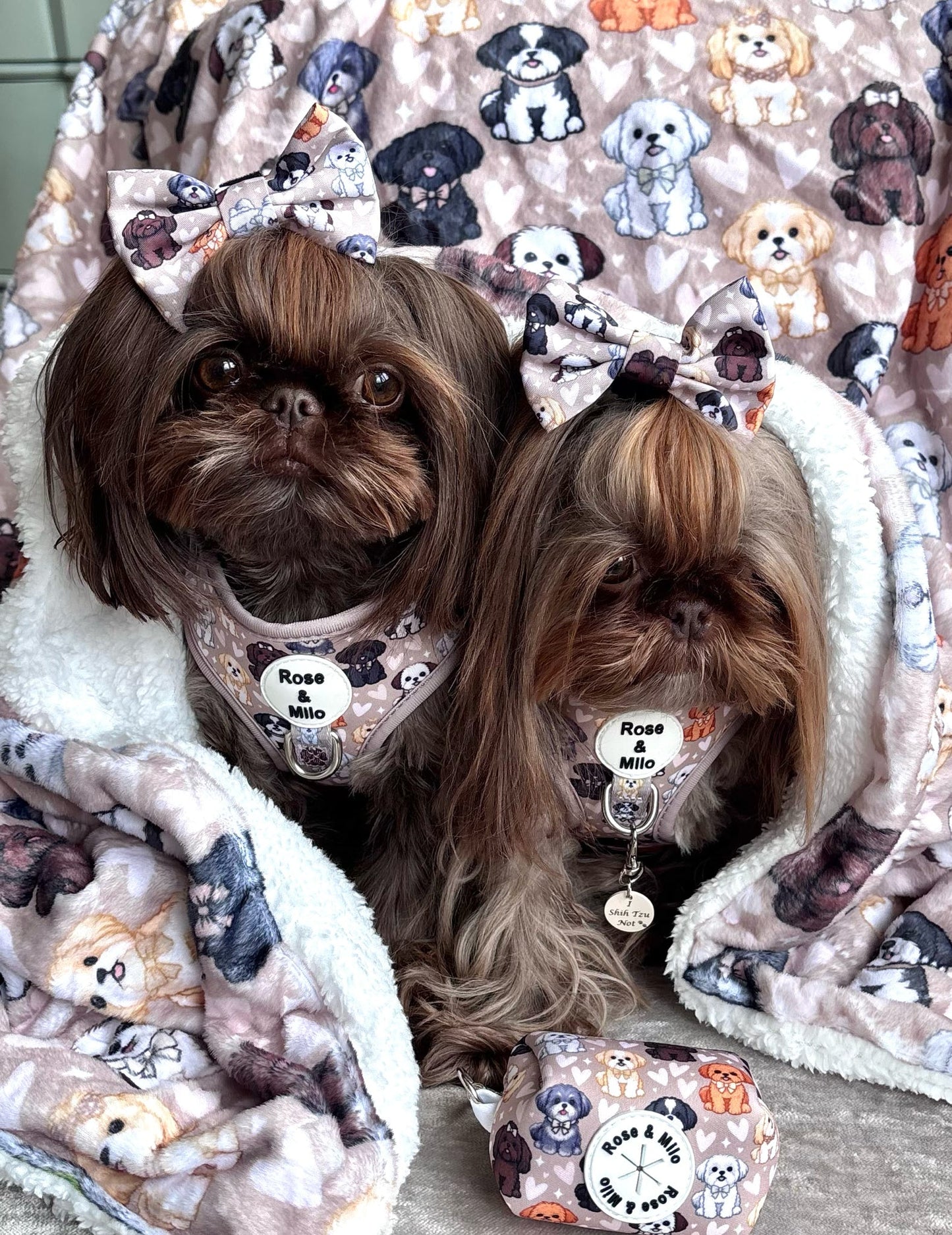 I Shih Tzu Not Snuggle Blankets