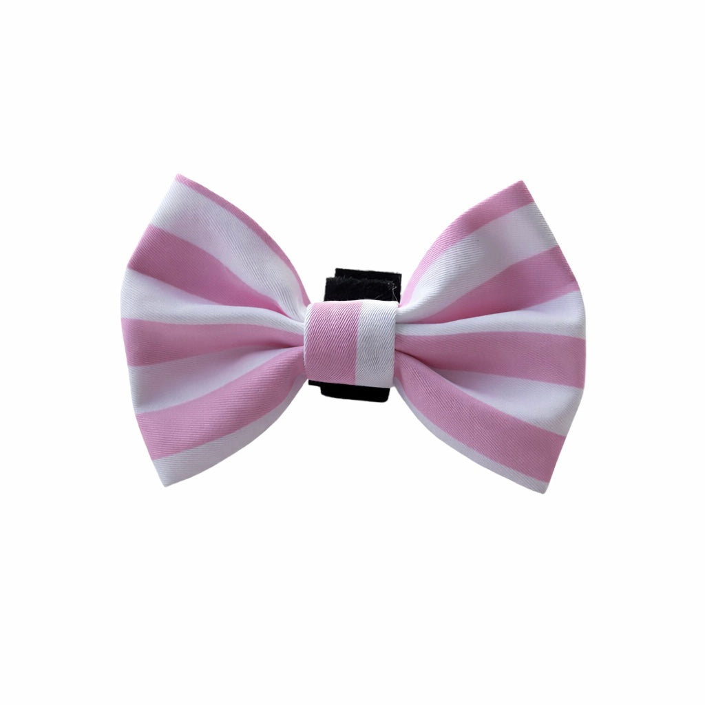 Pink Stripe Dog Bow Tie