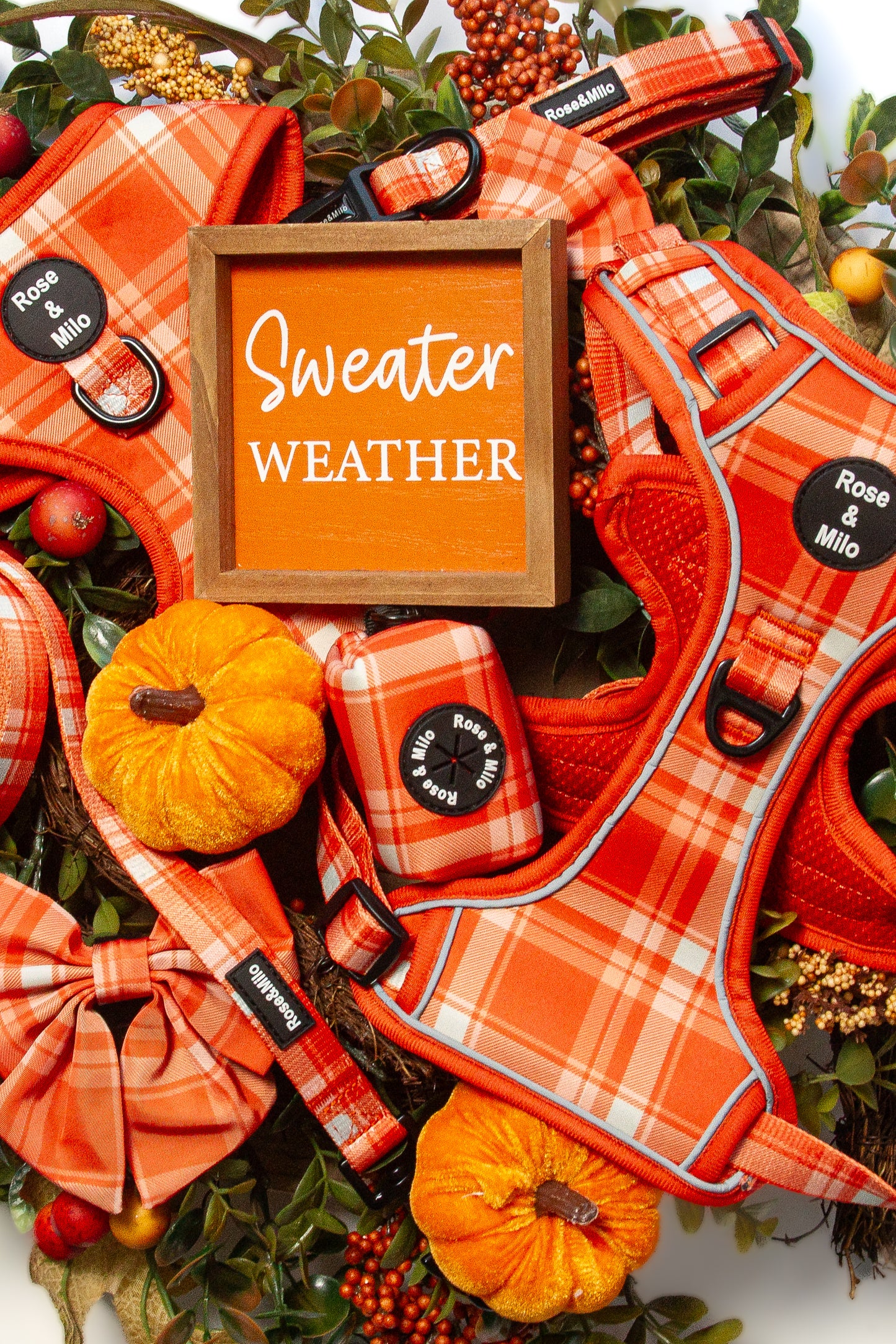 Orange Plaid Walk & Go Adjustable Dog Harness