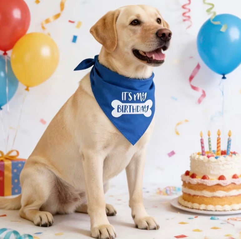 Dog Birthday Tie On Bandana
