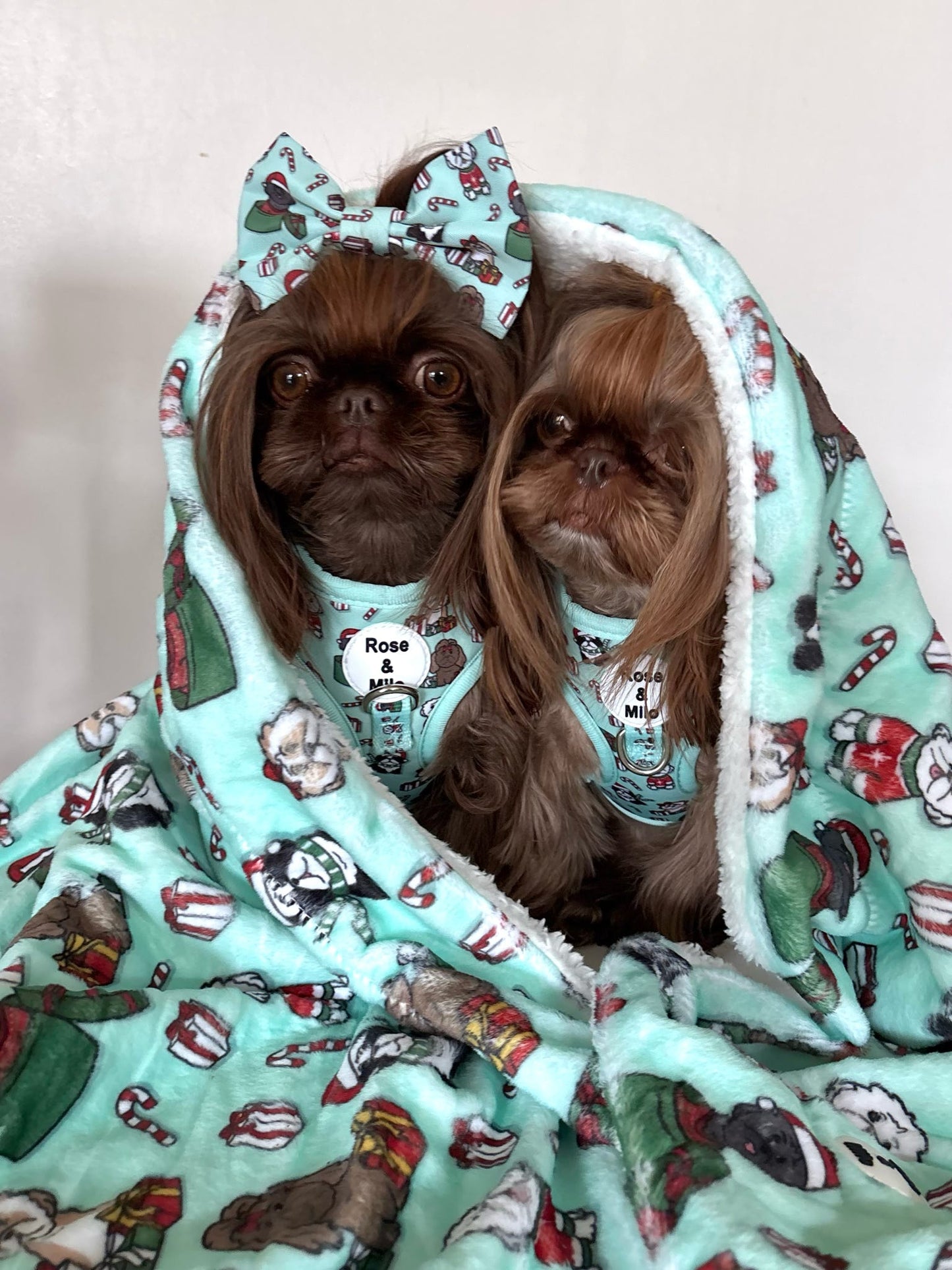 It’s Shihmass Huge Snuggle Dog Blanket