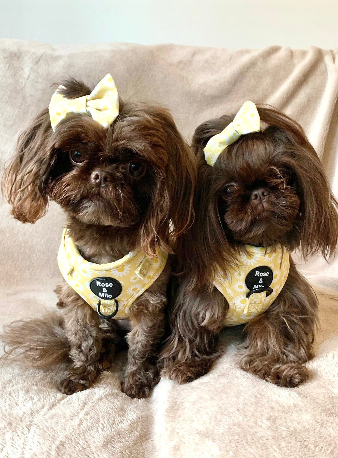 XXS Adjustable Harness Toy Breeds/Puppy £7.00