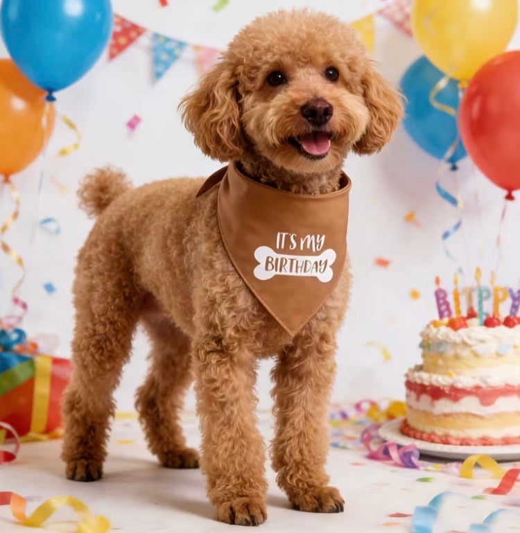 Dog Birthday Tie On Bandana