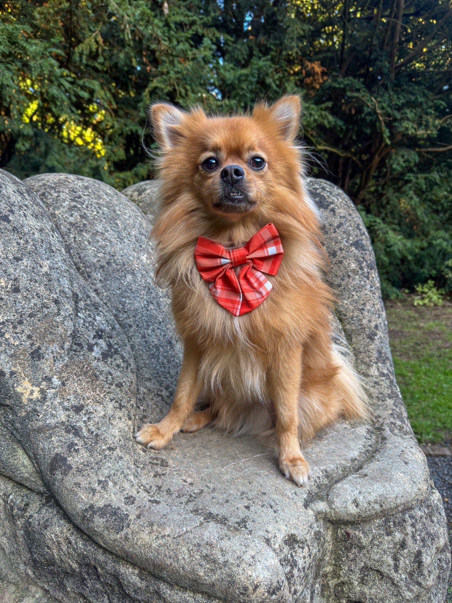 Orange Plaid Sailor Bow