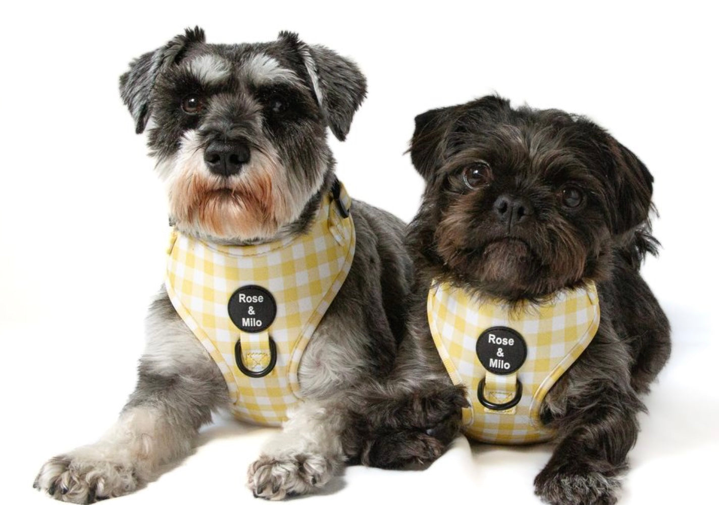Lemon Check Adjustable Harness