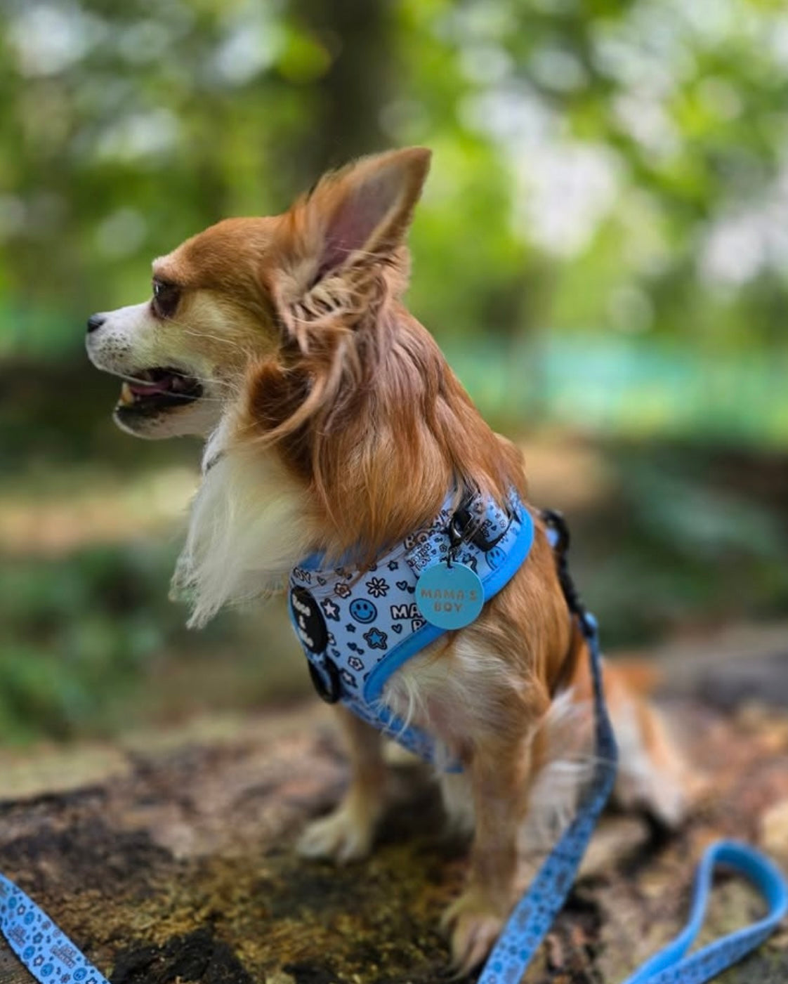 XXS Adjustable Harness Toy Breeds/Puppy £7.00