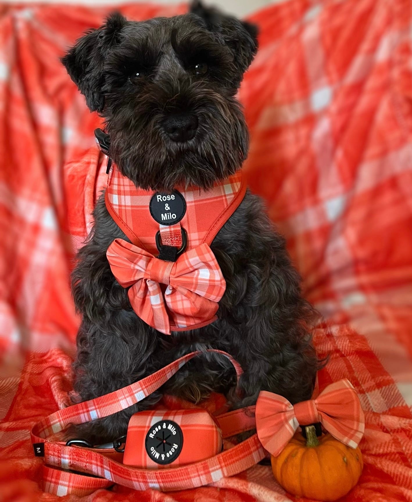 Orange Plaid Sailor Bow