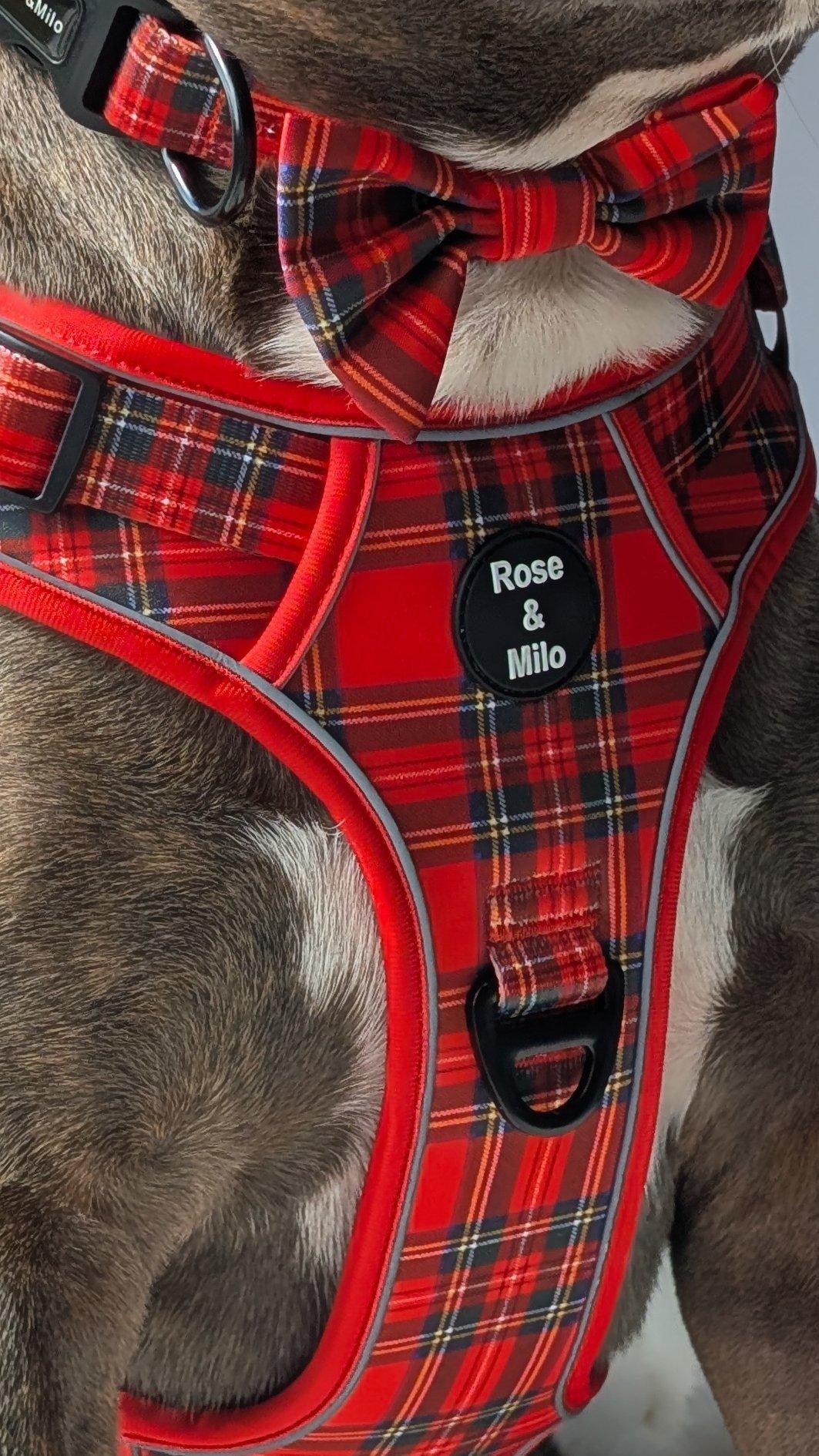 Red Tartan Walk & Go Harness