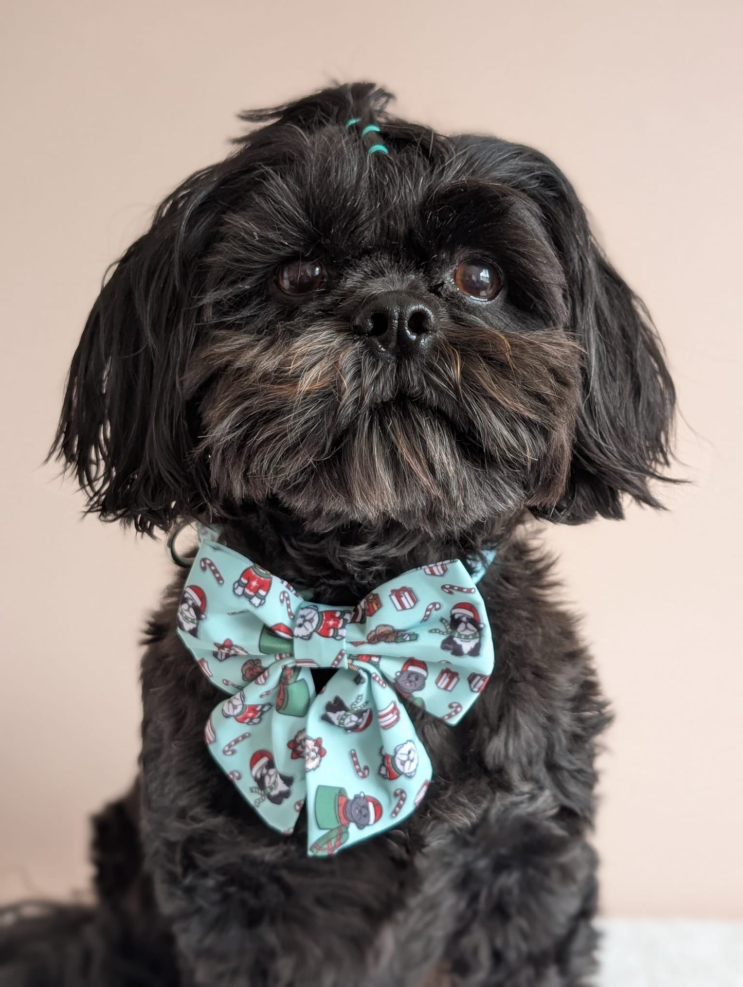 It’s Shihmass Dog Sailor Bow