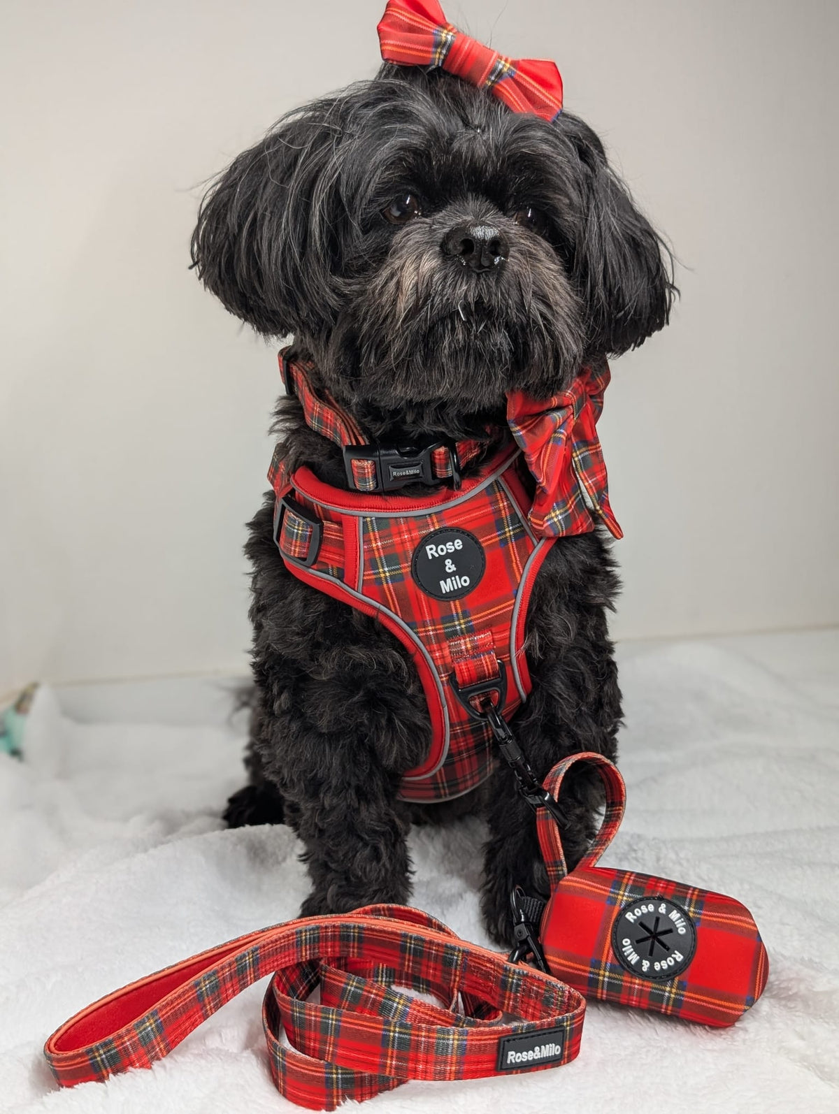 Red Tartan Walk & Go Harness