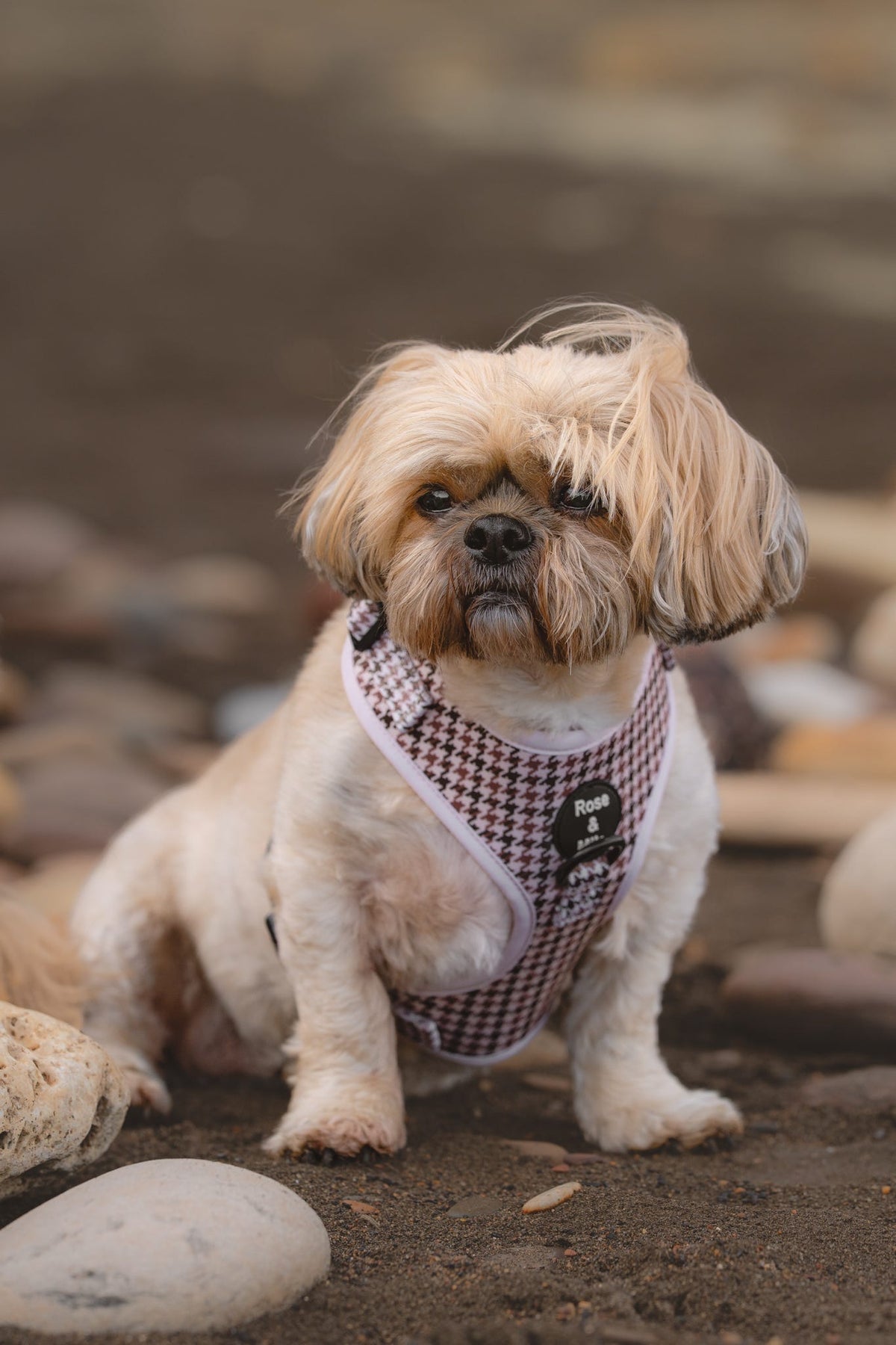 Beige Houndstooth Adjustable Dog Harness