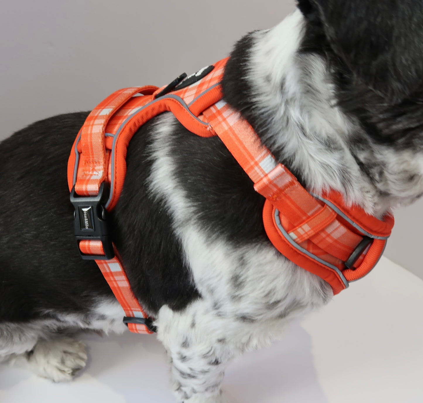 Orange Plaid Walk & Go Adjustable Dog Harness