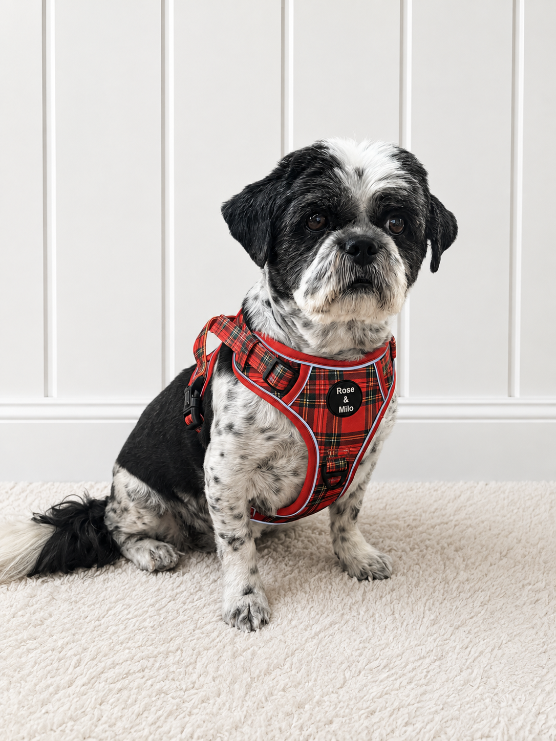 Red Tartan Walk & Go Harness