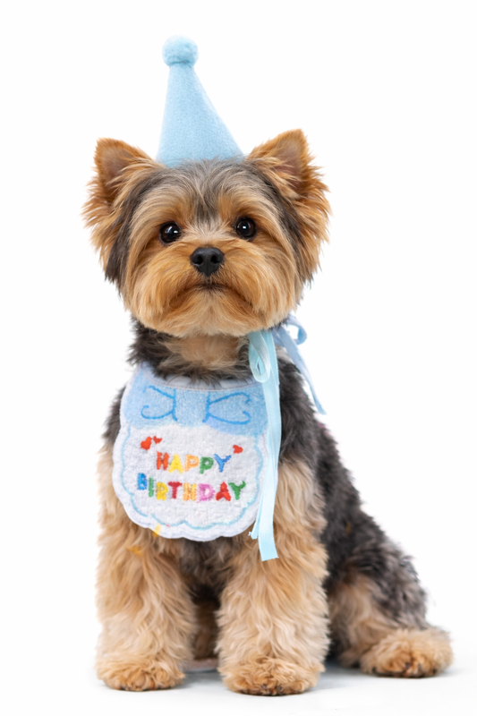 Dog Birthday Bandana Pink & Blue