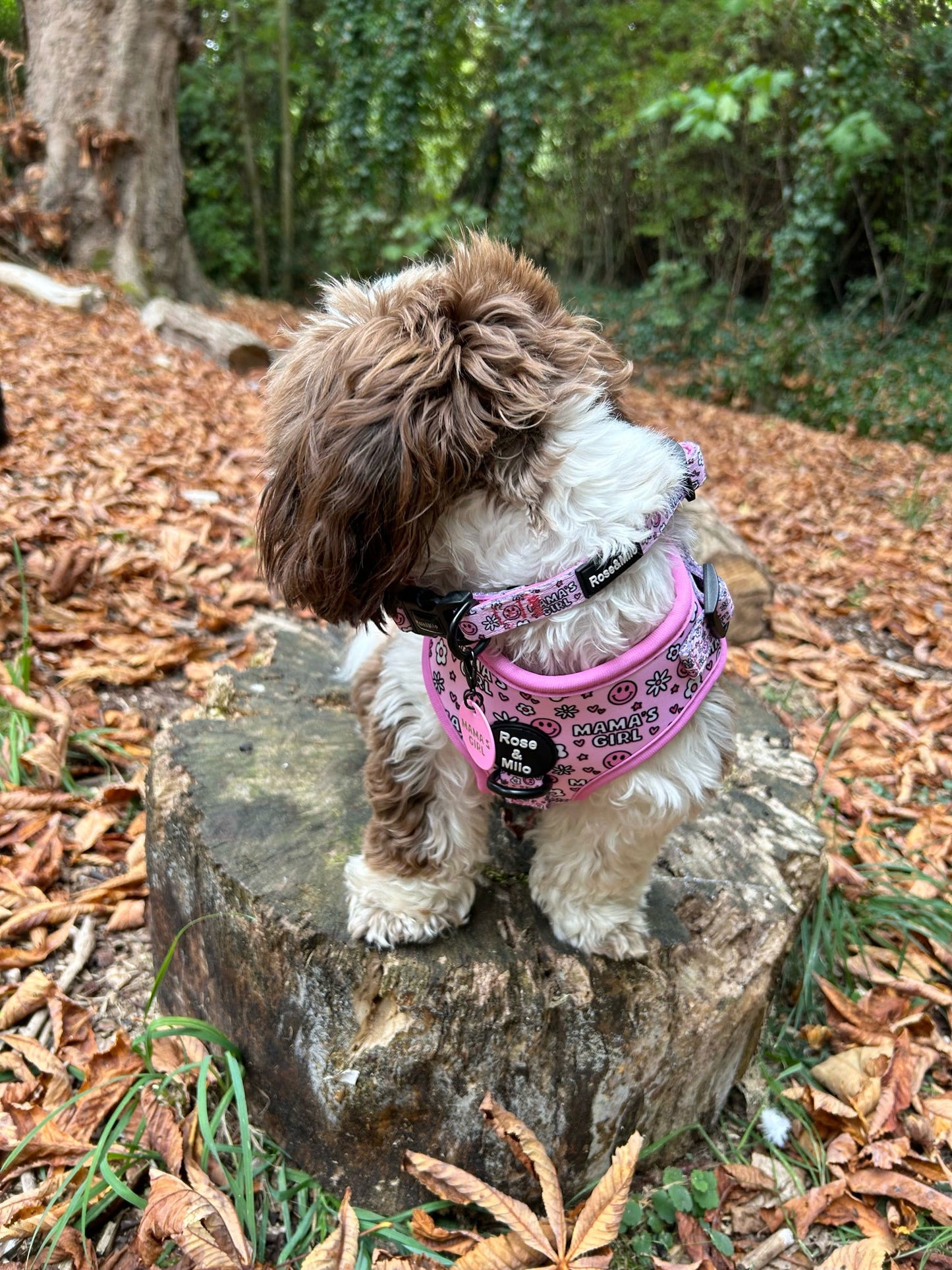 I’m a Mama’s Girl Adjustable Harness