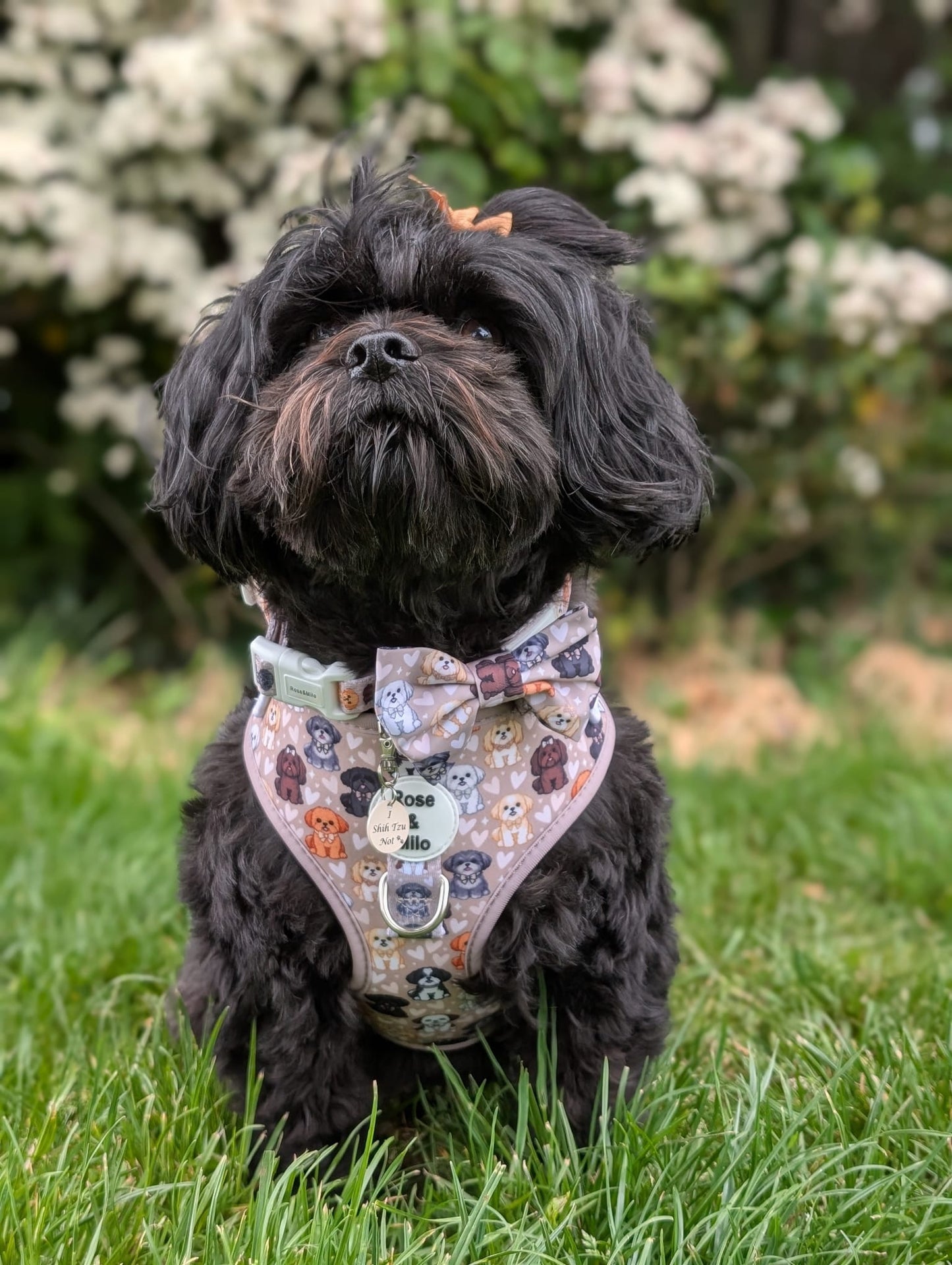Harness Adjustable I Shih Tzu Not NEW