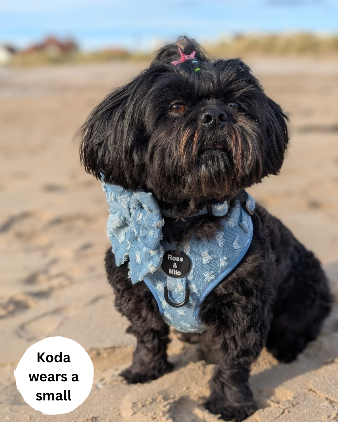 Doggy Denim Adjustable Dog Harness