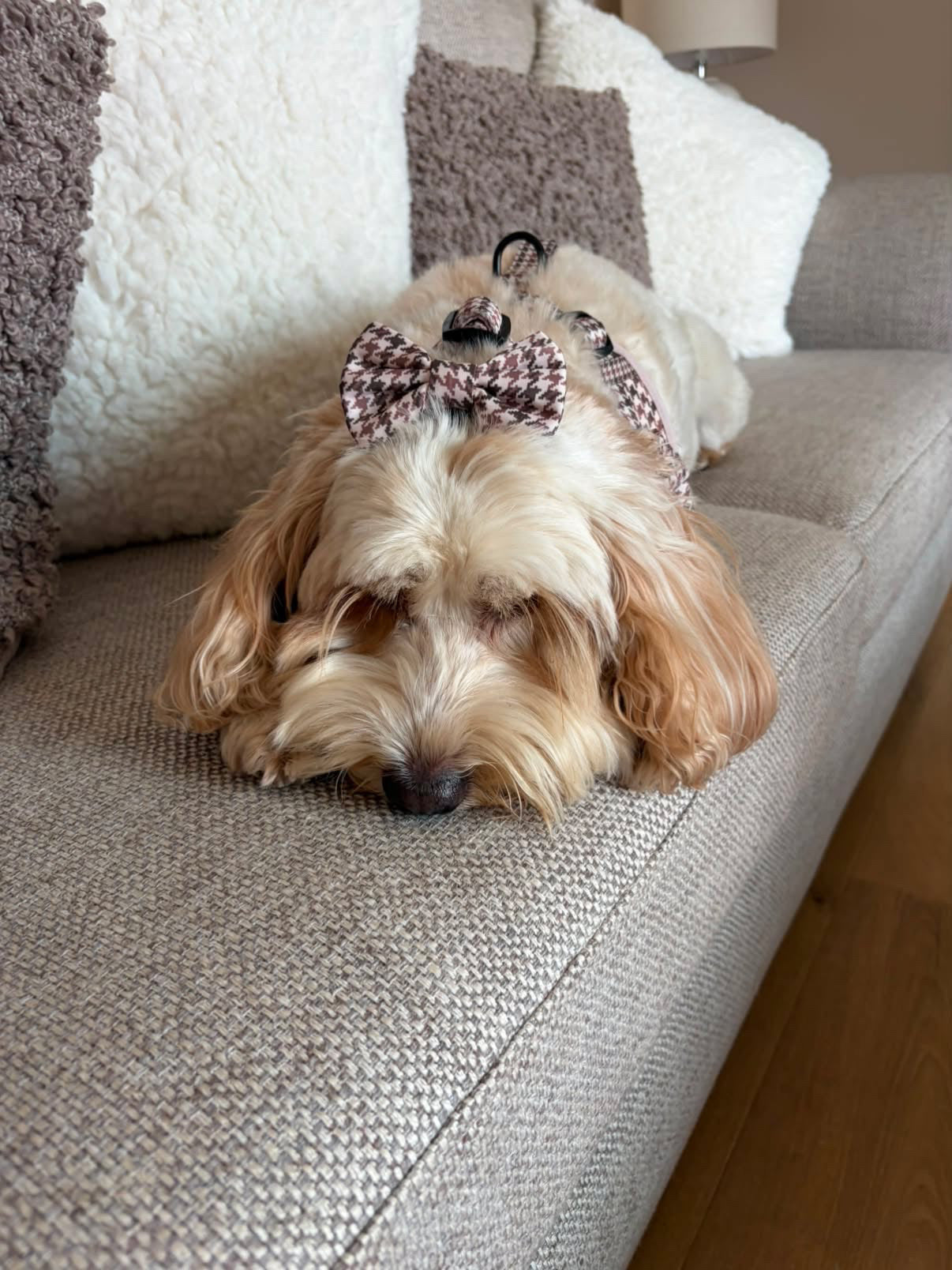Beige Houndstooth Dog Bow Tie Small & Large