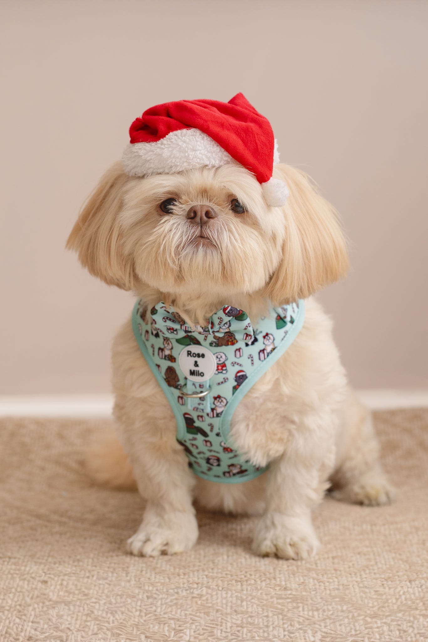 It’s Shihmass Adjustable Dog Harness