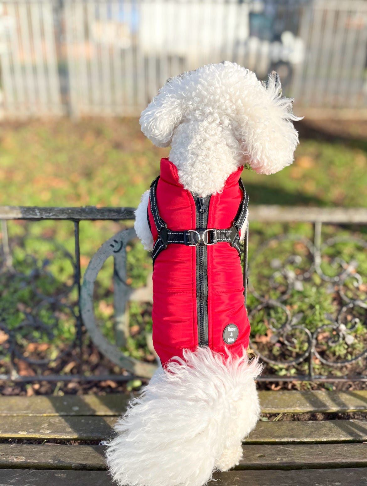 Dog Harness Coats Small-5XL