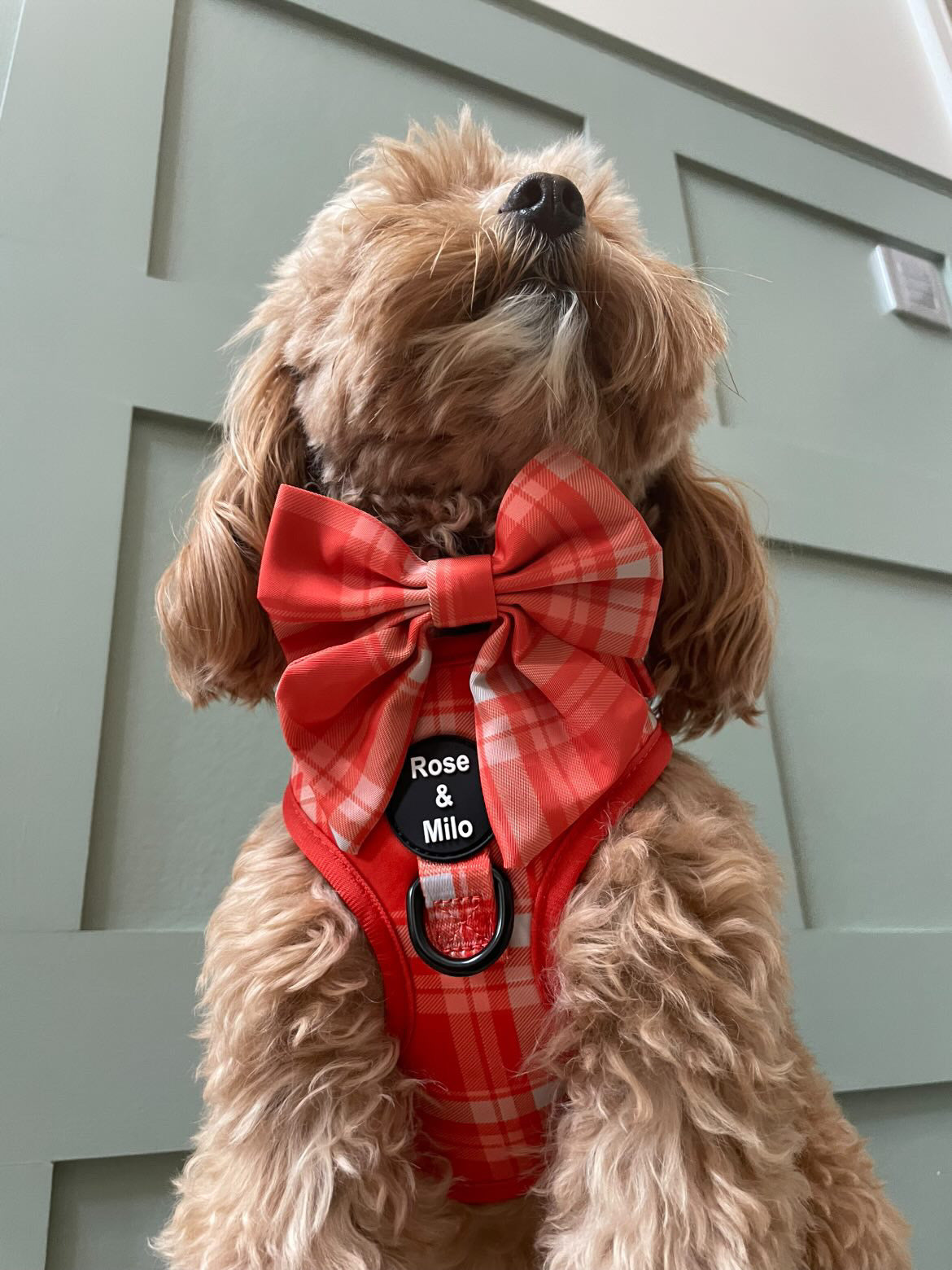 Orange Plaid Sailor Bow