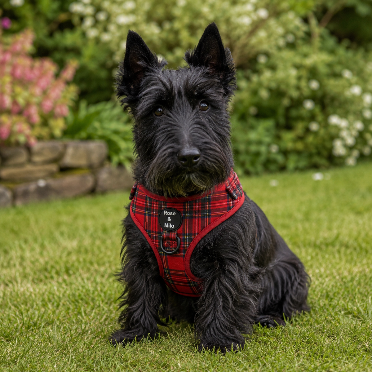 Red Tartan Adjustable Dog Harness