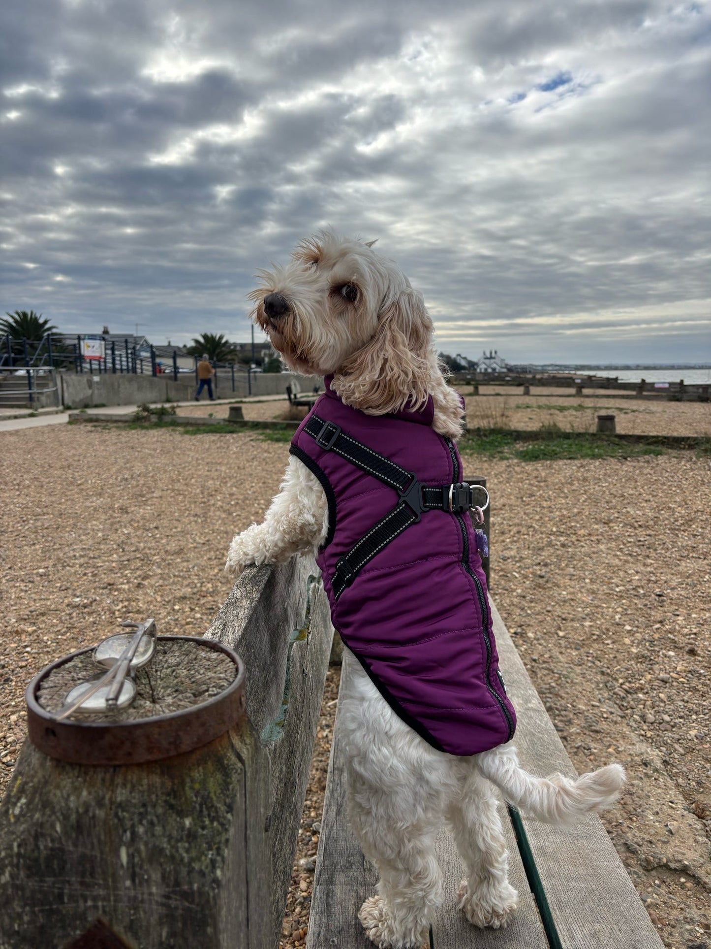 Dog Harness Coats Small-5XL