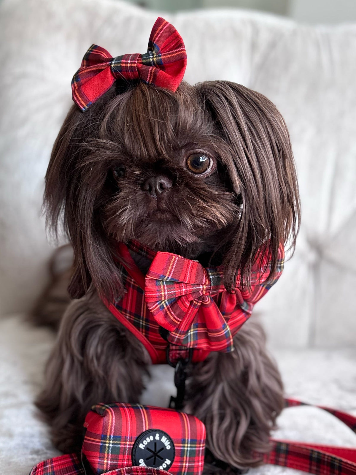 Red Tartan Dog Sailor Bow