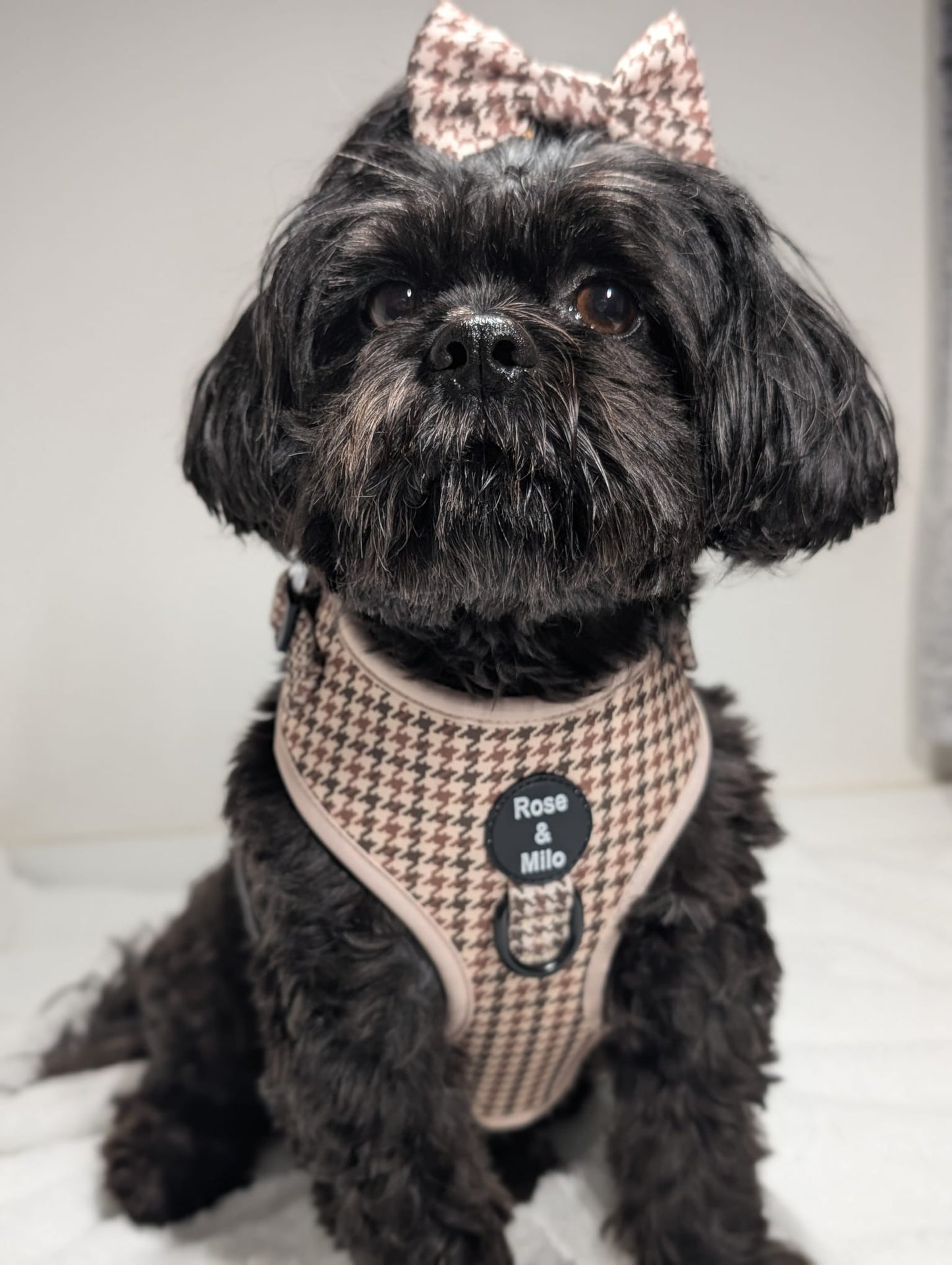 Beige Houndstooth Adjustable Dog Harness