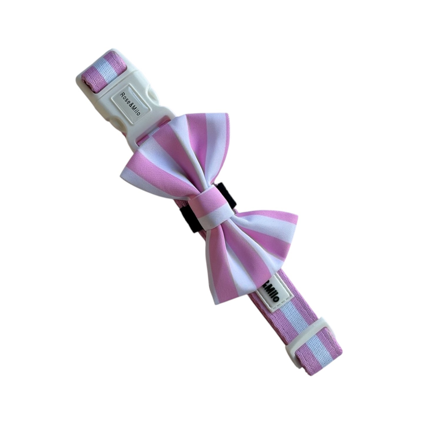 Pink Stripe Adjustable Dog Collar XS-Large