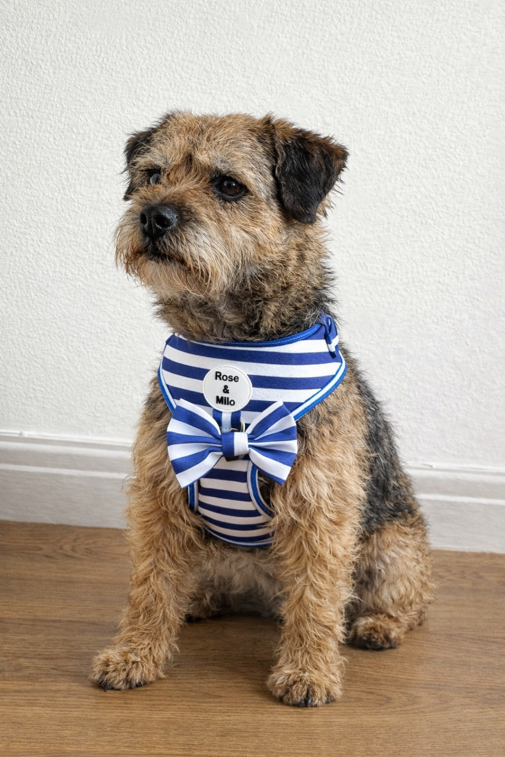 Blue Stripe Adjustable Dog Harness