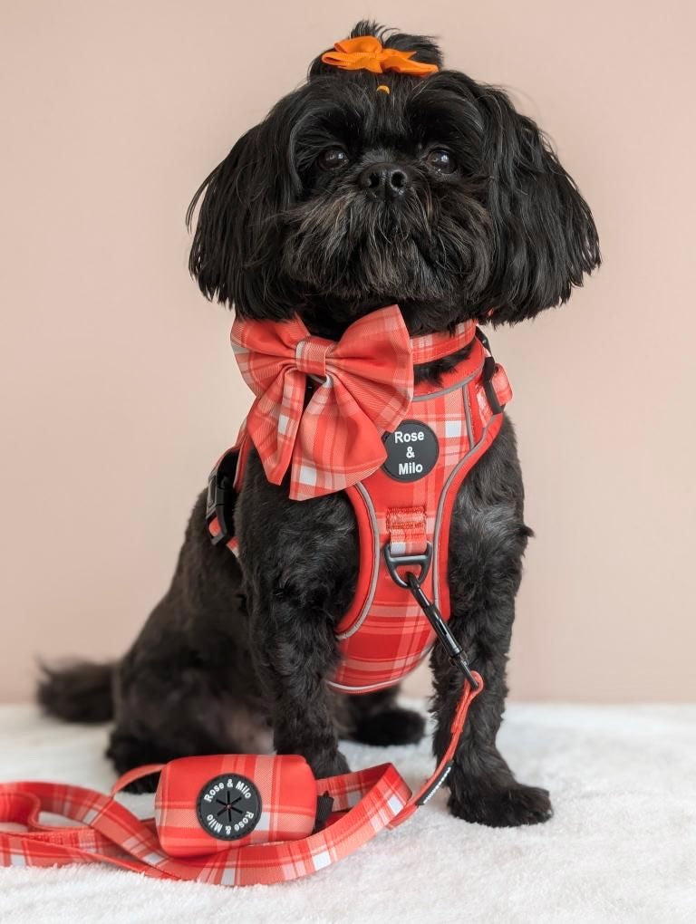 Orange Plaid Walk & Go Adjustable Dog Harness