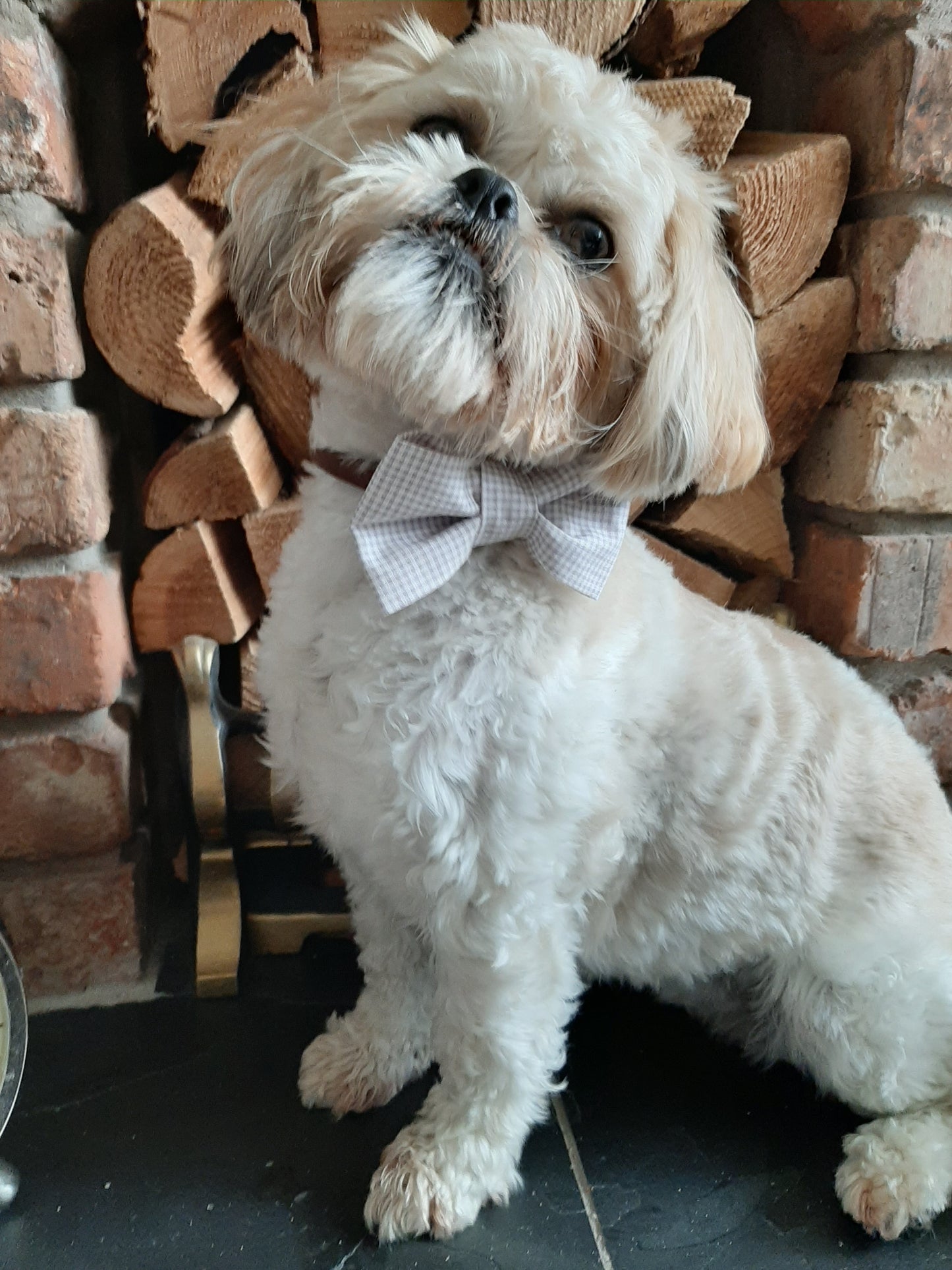 Rosebud Bow Tie