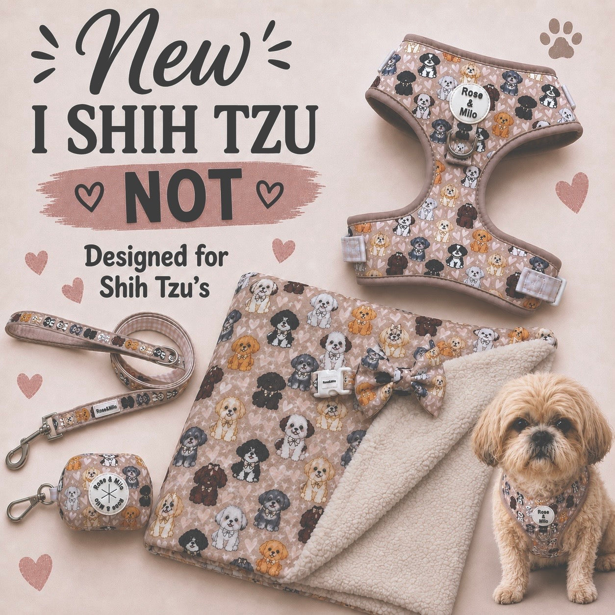 I Shih Tzu Not Snuggle Blankets